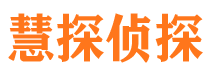 明山市调查公司